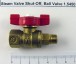 Steam Valve Shut-Off, Ball Valve Synesso 1.5450